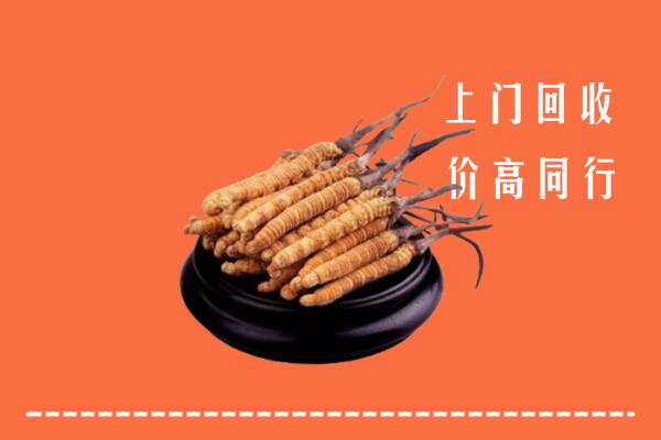 高价求购：垦利区回收散虫草
