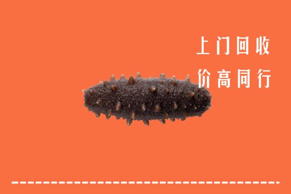 垦利区回收海参