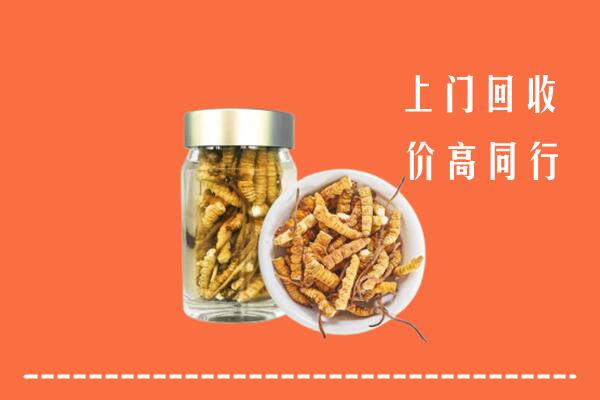 垦利区回收冬虫夏草