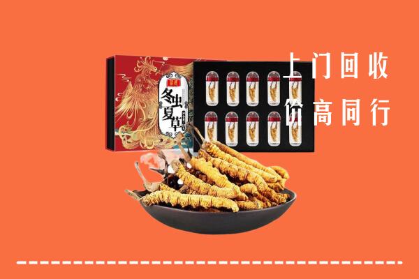 垦利区回收虫草